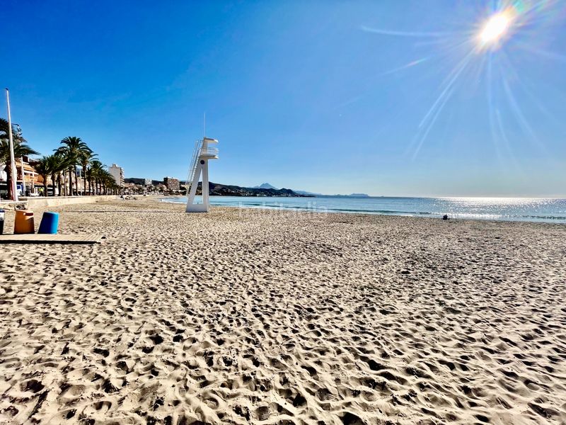 Foto 0f5204b9-a34f-440e-8a74-86ef74ac75f2. Pis a Campello Playa Campello (el)