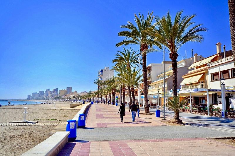 Foto e0405a23-903f-4cfd-ad6c-7c8a4ac9b09b. Pis a Campello Playa Campello (el)