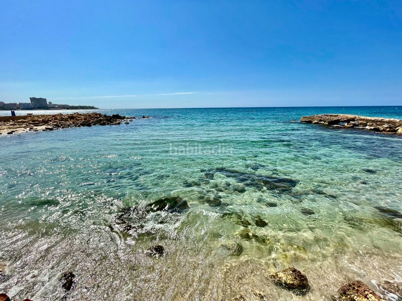 Foto b4d7b844-c4dd-4a12-862f-60951b765c11. Pis a Albufereta Alicante