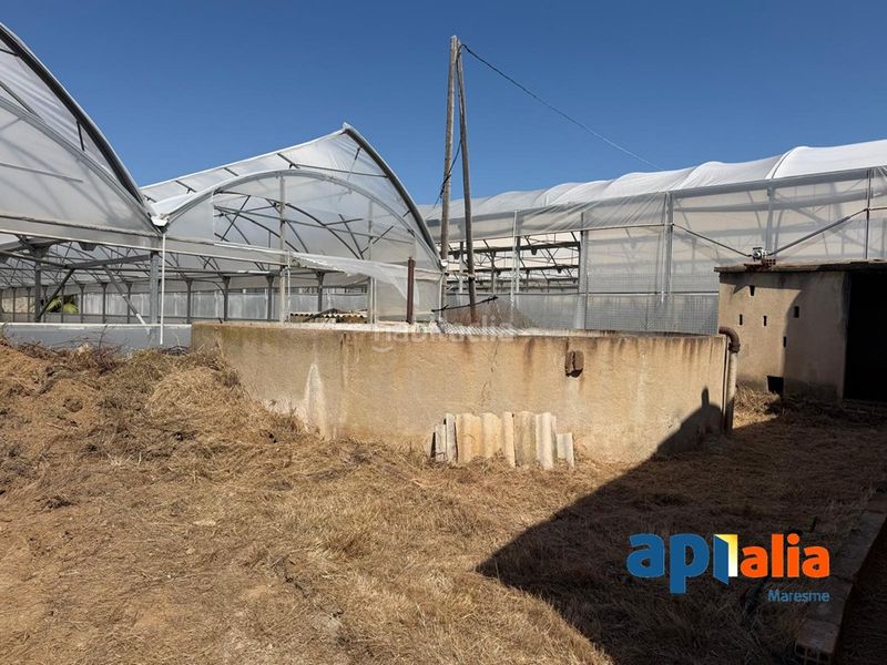 Foto b1fcc81d-896d-4080-9957-528f49c19edc. Pis a Les Pinedes Vilassar de Mar