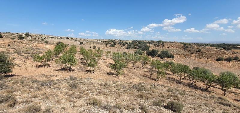 Foto 355586ad-cbbb-4e0a-80c4-8e9315f0c6ad. Terreno residencial finca rustica de secano en venta en Castellserà
