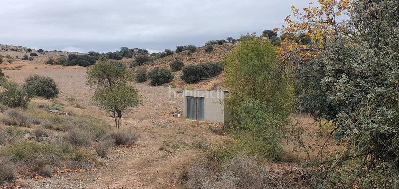 Foto 8d07da2c-7cbe-4a74-87b9-6168e5b45990. Terreno residencial finca rustica de secano en venta en Castellserà