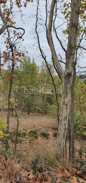 Foto 8dbdfab6-cb5c-46bf-bca5-fd4671b1873e. Terreno residencial finca rustica de secano en venta en Castellserà