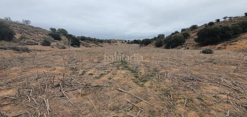 Foto abb1fbe3-5fd5-4392-a2cc-c6df7f6fa7fa. Terreno residencial finca rustica de secano en venta en Castellserà