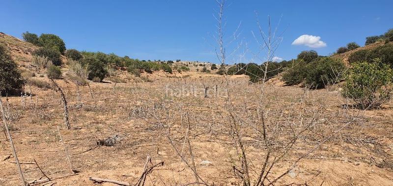Foto b8931f42-aea5-4a3d-91f7-1c7866c7134f. Terreno residencial finca rustica de secano en venta en Castellserà