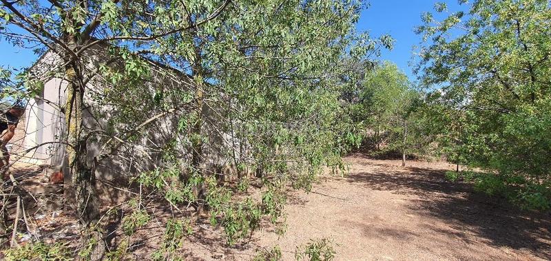 Foto d61e8f8a-687b-4eba-b25f-6dc30bb6e260. Terreno residencial finca rustica de secano en venta en Castellserà