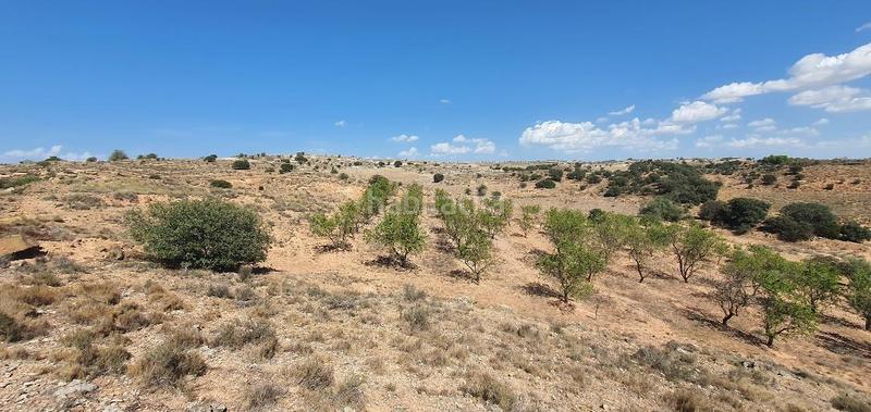 Foto e909fa48-3776-4a7b-90b3-2820fcb45252. Terreno residencial finca rustica de secano en venta en Castellserà