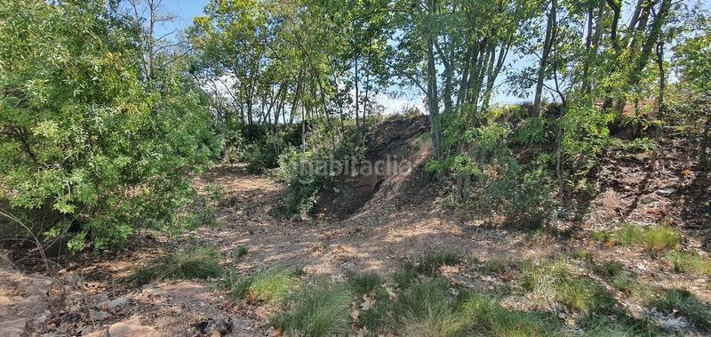 Foto fe5e21a1-17d3-44f9-a026-08b3767dc933. Terreno residencial finca rustica de secano en venta en Castellserà