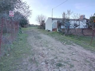 Finca rústica a Arcos de la Frontera. Finca rustica con casa de campo y aprovechamiento agricola