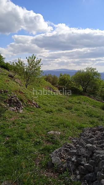 Foto 527e8283-3f07-48a0-b129-b8723f86faa4. Finca rústica parcela rústica con excelentes vistas. en Benaocaz