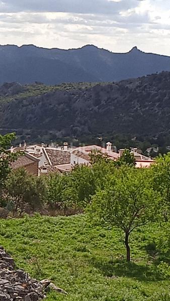 Foto a1598594-a4d0-45b0-a27a-27ddfa650844. Finca rústica parcela rústica con excelentes vistas. en Benaocaz