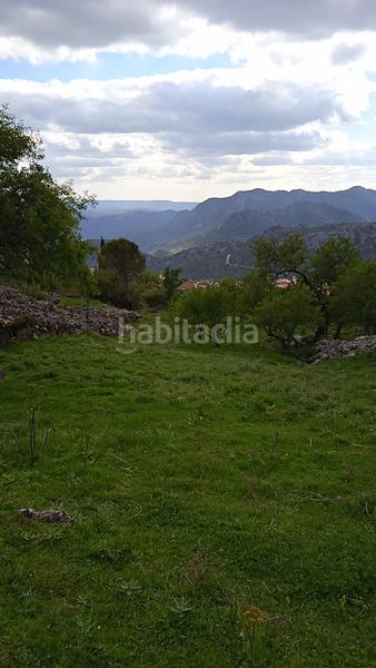 Foto c459816e-9c53-453b-ae6b-407b36004e05. Finca rústica parcela rústica con excelentes vistas. en Benaocaz
