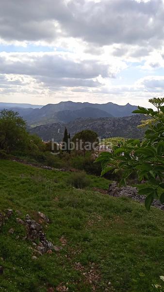 Foto d4049487-bfd9-4773-9027-5503d5947206. Finca rústica parcela rústica con excelentes vistas. en Benaocaz