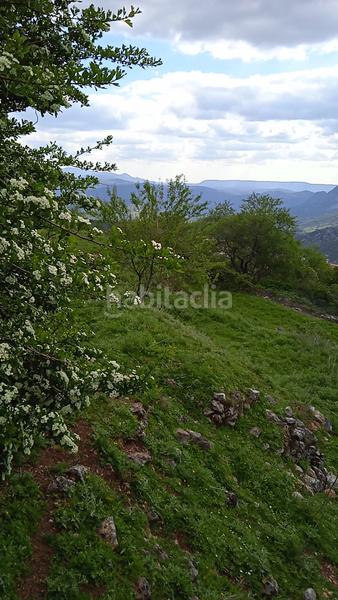 Foto e0b4f228-6e75-4413-a293-e4cc91e39dae. Finca rústica parcela rústica con excelentes vistas. en Benaocaz
