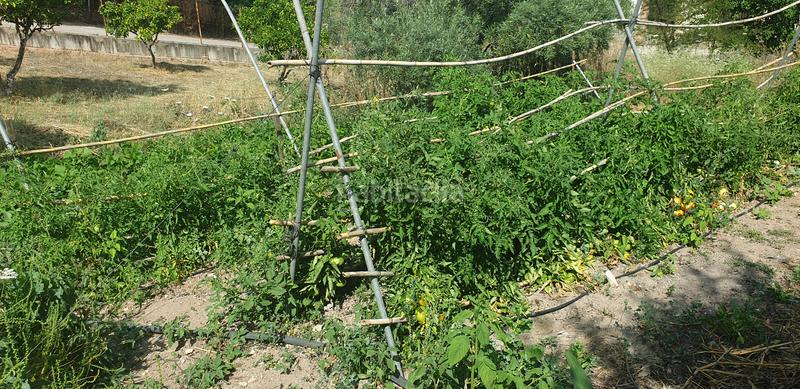 Foto 2038d98b-2f7a-4acd-b100-e5b717410814. Chalet dans Prado del Rey