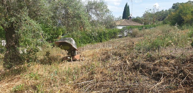 Foto 204506f0-d189-4805-8c29-d6907d729b3f. Chalet dans Prado del Rey