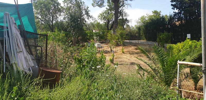 Foto 9d6fe549-997c-487d-aeb1-e861010b0f0d. Chalet dans Prado del Rey