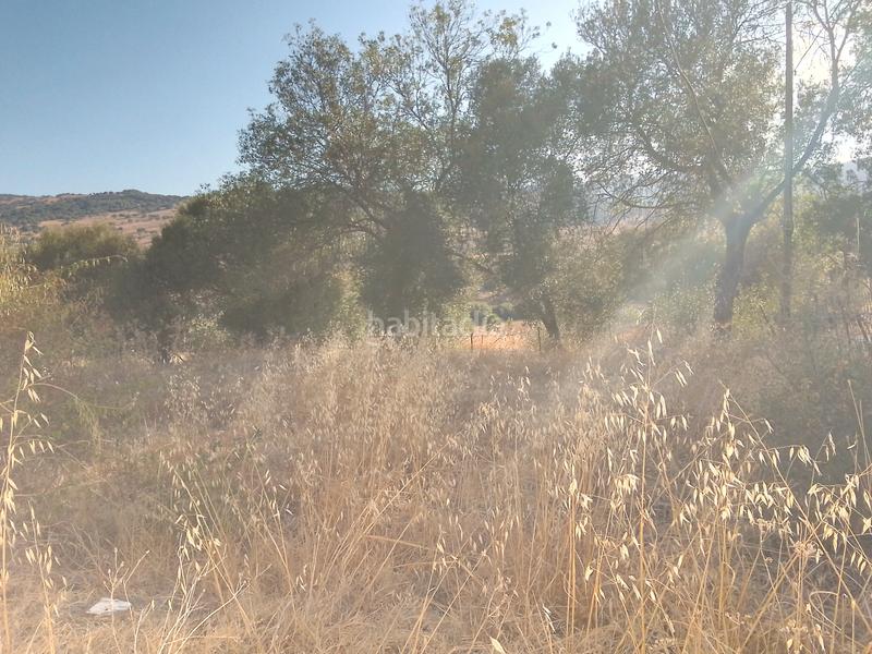 Foto 128c00b4-fc25-4fb7-84ca-58f720e350a0. Finca rústica parcela rustica con casa en Ubrique