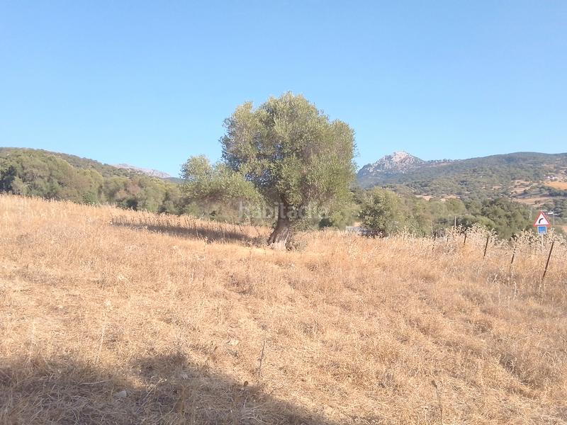 Foto 33a75c30-1d20-4a1f-82c0-9190ebdbabe1. Finca rústica parcela rustica con casa en Ubrique