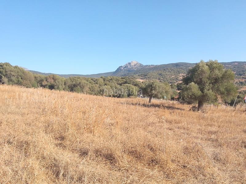 Foto 4819d3b6-fe5a-4f33-b139-cc00bbef611c. Finca rústica parcela rustica con casa en Ubrique