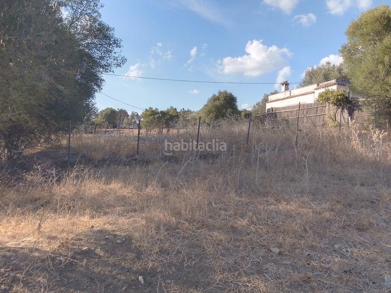 Foto 4fba753f-1f43-4229-8527-06d40c37b6a8. Finca rústica parcela rustica con casa en Ubrique