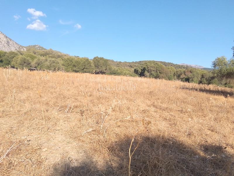 Foto 806905a0-936d-4c8c-99c0-2da8ce8dadc1. Finca rústica parcela rustica con casa en Ubrique