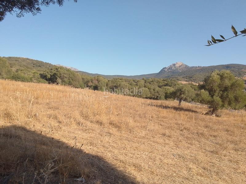 Foto 89bb312b-e47b-407f-98b7-9699ea461087. Finca rústica parcela rustica con casa en Ubrique