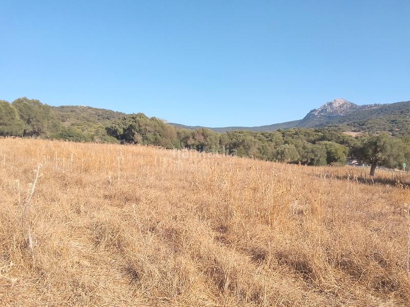 Foto a3aad07f-8a92-471a-b598-31273194b9f8. Finca rústica parcela rustica con casa en Ubrique