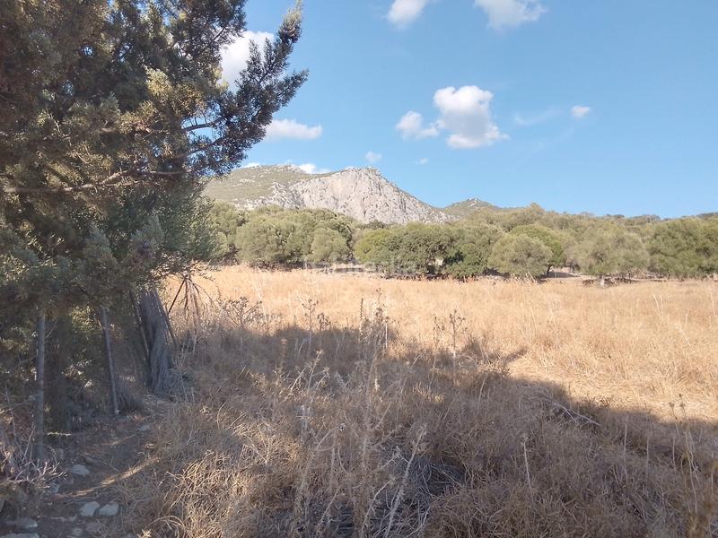 Foto c5887953-ac24-48c2-a5e5-2a1f4fce29f5. Finca rústica parcela rustica con casa en Ubrique