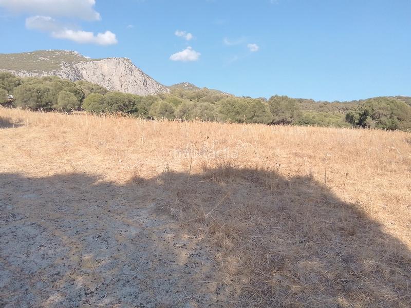 Foto c7096d05-85dd-491f-9569-80ccb622b51f. Finca rústica parcela rustica con casa en Ubrique