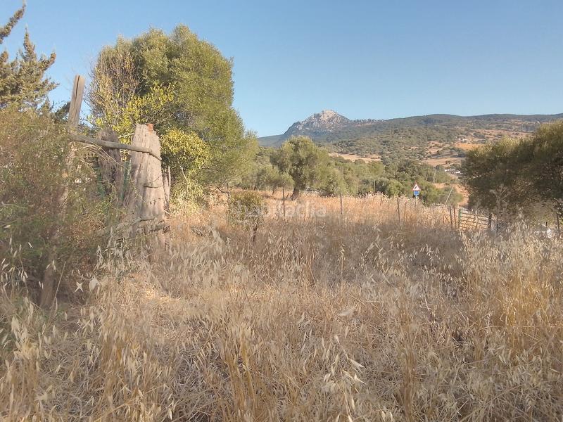 Foto d57201e0-9160-4450-9256-d6a09a92304e. Finca rústica parcela rustica con casa en Ubrique