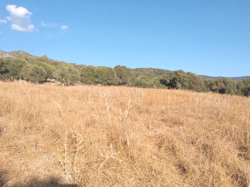 Foto d8519b21-5ac2-495b-bc74-3daa04df5e5e. Finca rústica parcela rustica con casa en Ubrique