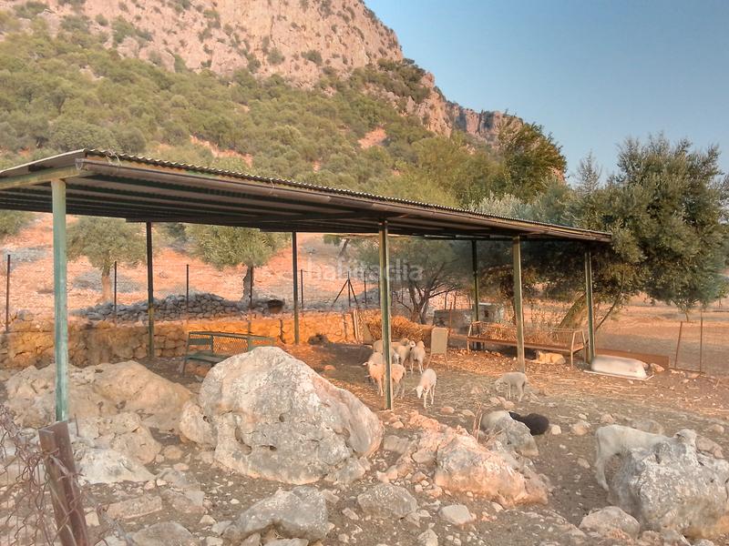 Foto 19a84b1e-2862-413b-8e2f-b21d48bbe5fd. Landgut in Ubrique