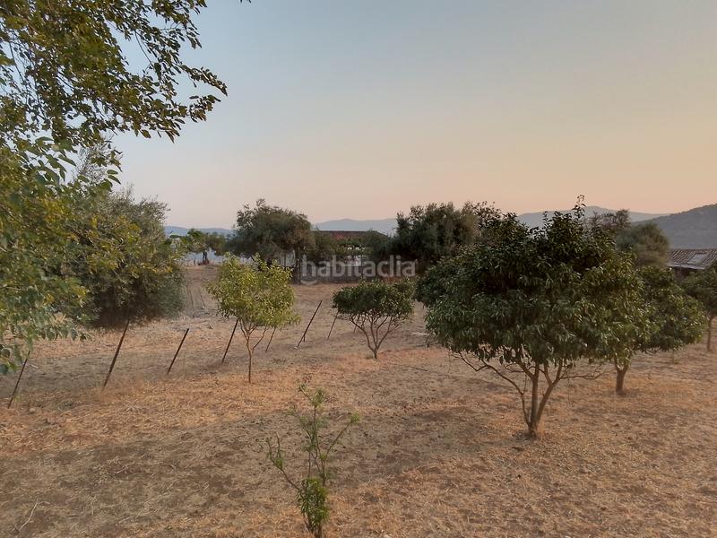 Foto 1e18c0e0-b7c6-439e-a6da-4b80b18ea753. Landgut in Ubrique