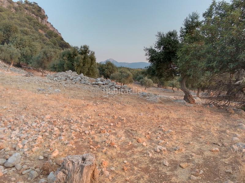 Foto 20840562-dc89-4293-9fad-5f1afc824850. Landgut in Ubrique