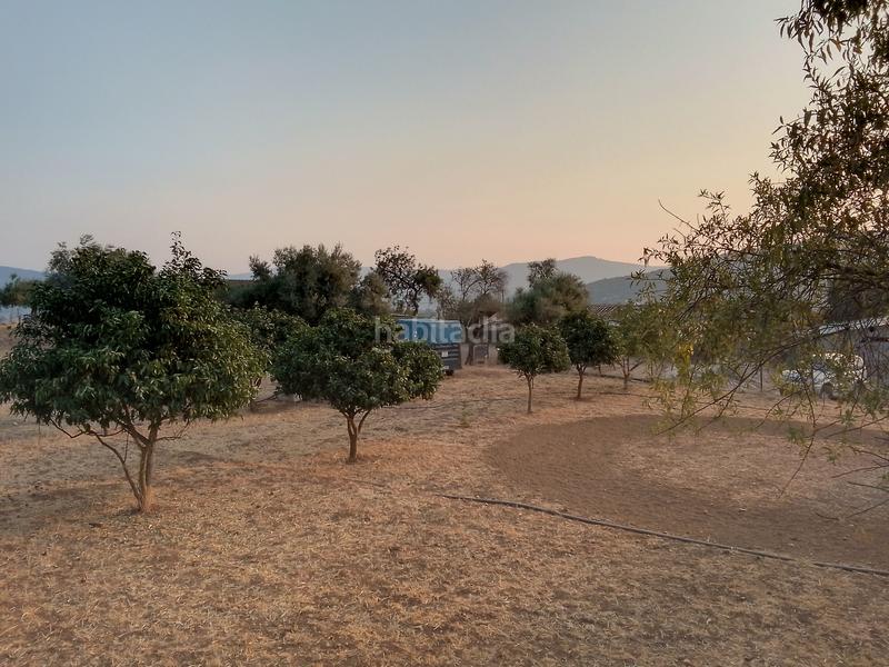 Foto 2445a294-e065-4323-94e7-eb85bb257704. Landgut in Ubrique