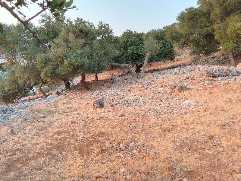 Foto 2a6705f3-b9a9-4b88-b024-ac07bec62b53. Landgut in Ubrique