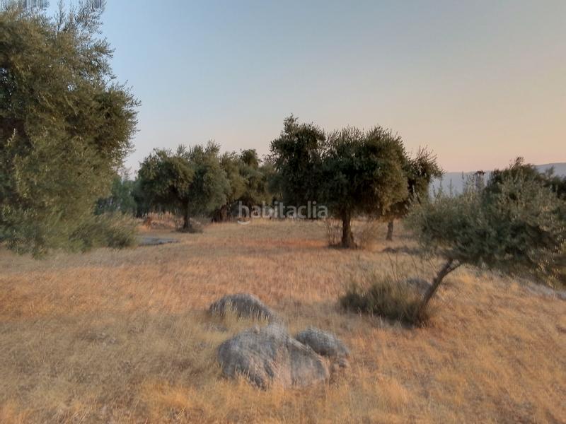 Foto 2defa0d0-d8fd-459f-924b-dda55ed48a57. Landgut in Ubrique