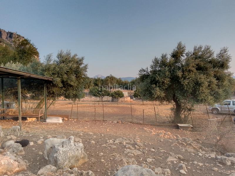 Foto 2dfa65b4-a638-4d0e-b16a-4a7dde1d5f3b. Landgut in Ubrique