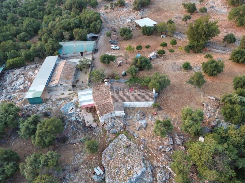 Foto 3ec09261-aee0-4d0b-8b96-f533c6d7e8b6. Landgut in Ubrique