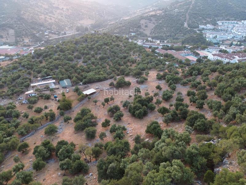 Foto 41fc8a37-e38c-461c-acdc-56797c1af8ca. Landgut in Ubrique