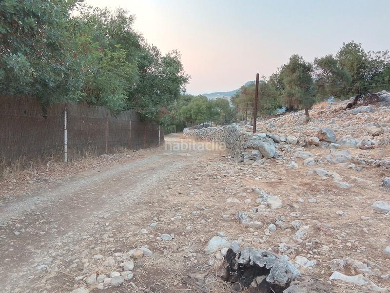 Foto 4432aa20-e6a3-43ae-9f89-1f85c01b00c5. Landgut in Ubrique