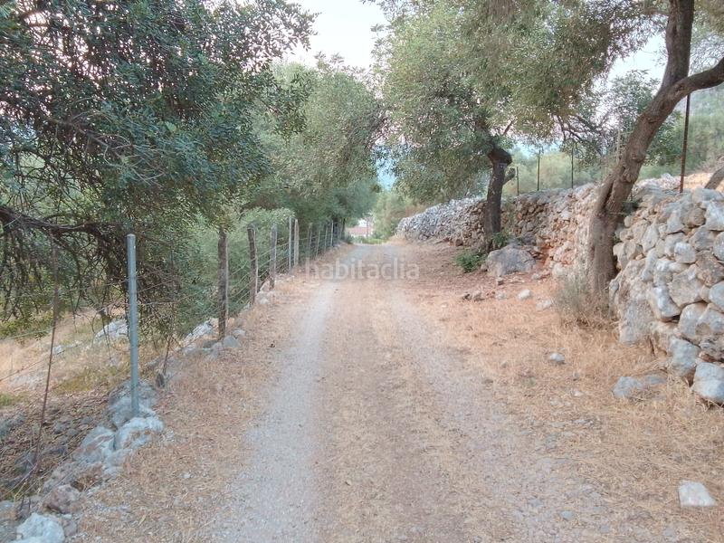 Foto 55defc9e-1477-4e36-b72c-426f747633d7. Landgut in Ubrique