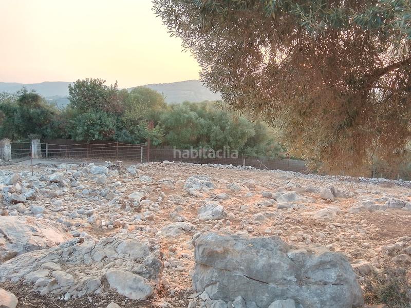 Foto 59abfab9-47d3-43b3-9481-3b1cb3b6cb37. Landgut in Ubrique