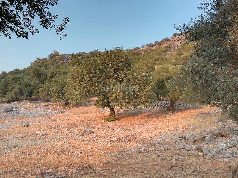 Foto 6457626c-e011-4a7a-bbbc-07c4a815b3ac. Landgut in Ubrique