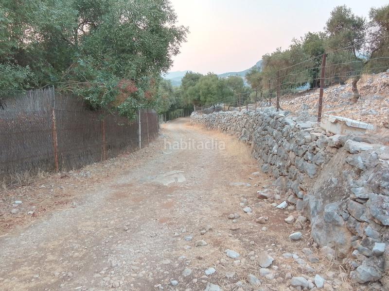 Foto 64fc89d0-cb9f-4732-b8b2-0667b0b883d9. Landgut in Ubrique