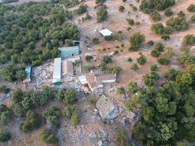 Foto 65e430d5-83ae-4b9d-a719-63a8272f0f57. Landgut in Ubrique