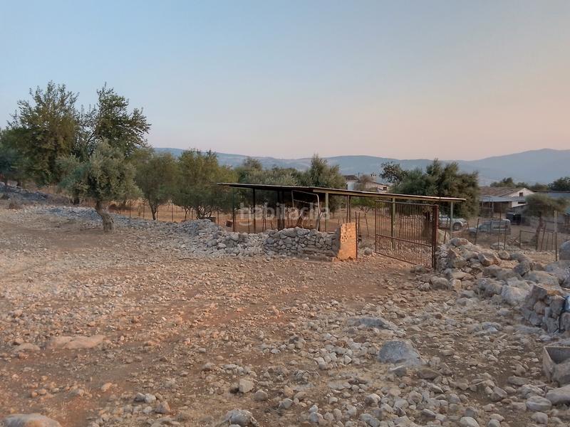 Foto 6a0e286a-6157-4fed-bf26-c52e55e2b181. Landgut in Ubrique