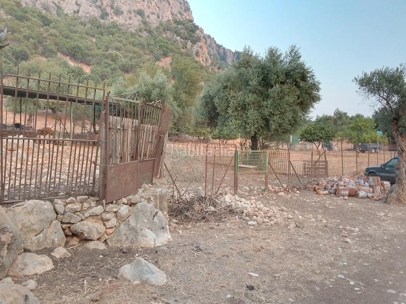 Foto 71bf8da2-2bc0-4ae9-9478-1110c0fff6be. Landgut in Ubrique