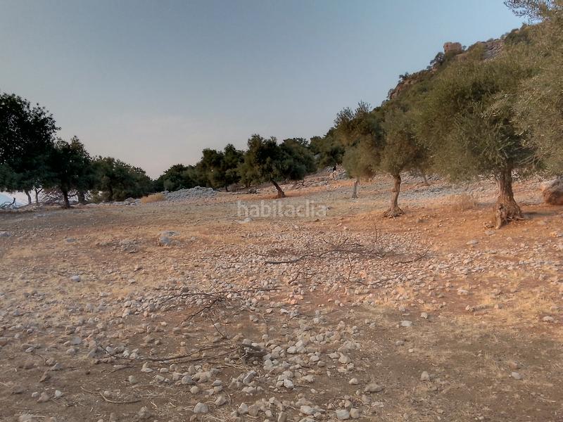 Foto 72b08fda-2c71-4bbe-b3bc-592203ef362a. Landgut in Ubrique